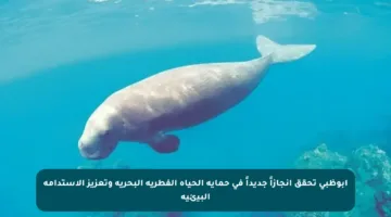 أبوظبي تحقق إنجازاً جديداً في حماية الحياة الفطرية البحرية وتعزيز الاستدامة البيئية